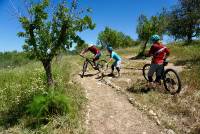 Privatcoaching für MTB Fahrtechnik auf Mallorca mit professionellen Mountainbike-Trainern