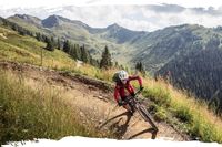 Entdecke die österreichischen Alpen mit deinem Mountainbike und Roxybike