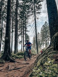 mtb-kurs-deutschland-mountainbike-camp-roxybike (1)