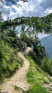 Livigno-mtb-roxybike_IMG_2897